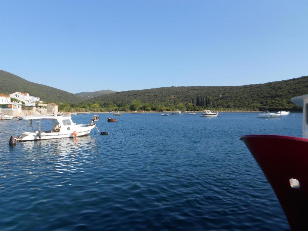 Apartments Vila Lazarevic Tivat Eksteriør billede
